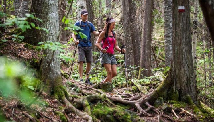 Le Nid Dore Sur Le Lac Val des Monts Zewnętrze zdjęcie